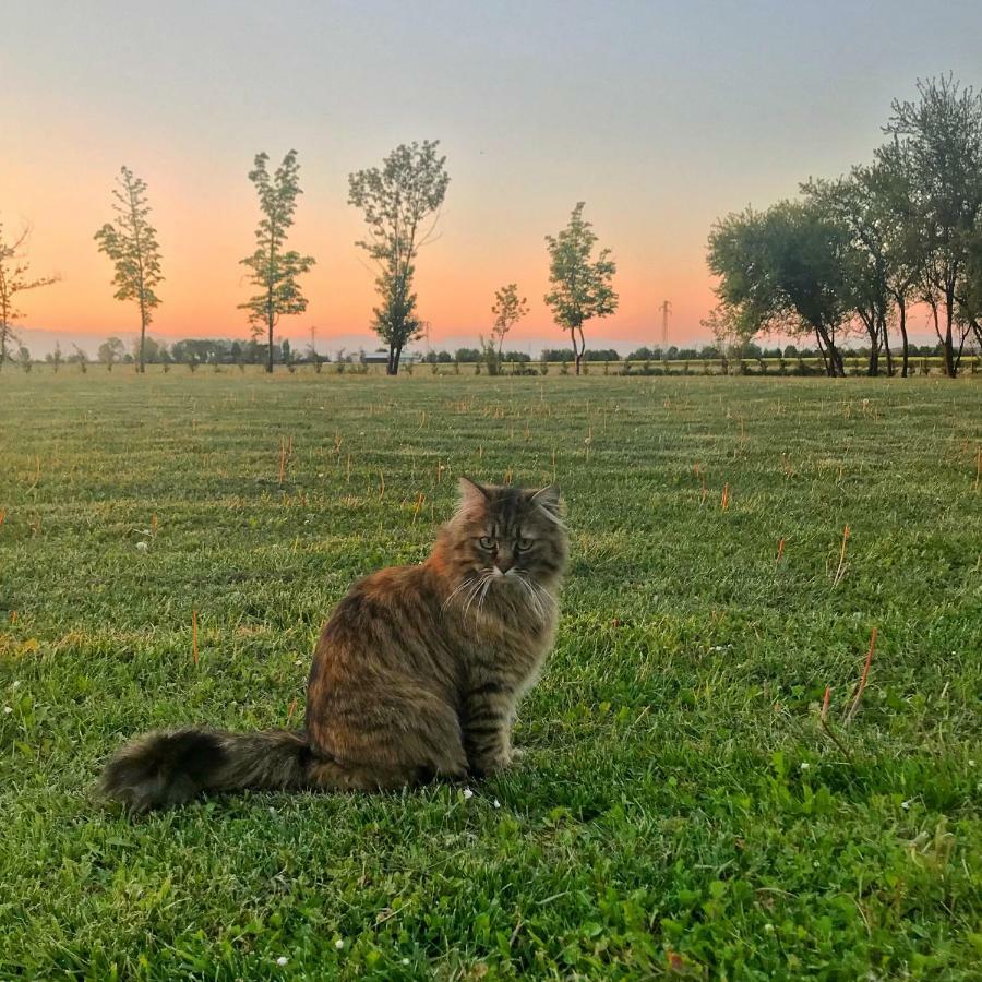 Bed & Breakfast Al Vecchio Fienile San Michele al Tagliamento